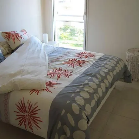 Royal Palm Apartment Cannes
